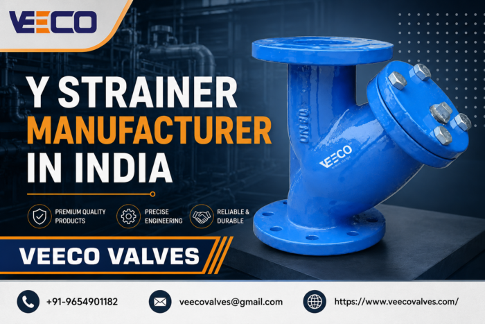 Y Strainer Manufacturer in India