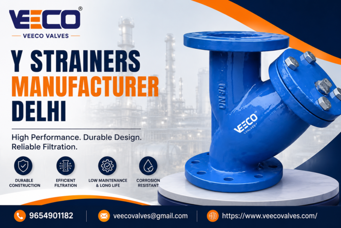 Y Strainers Manufacturer Delhi